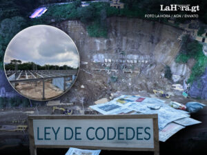 LEY DE CODEDES