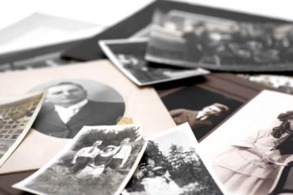 ¿Qué es un árbol genealógico?