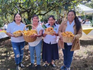 Agenda cultural y sabor local: así se vivirá el XIII Festival del Níspero en San Juan del Obispo