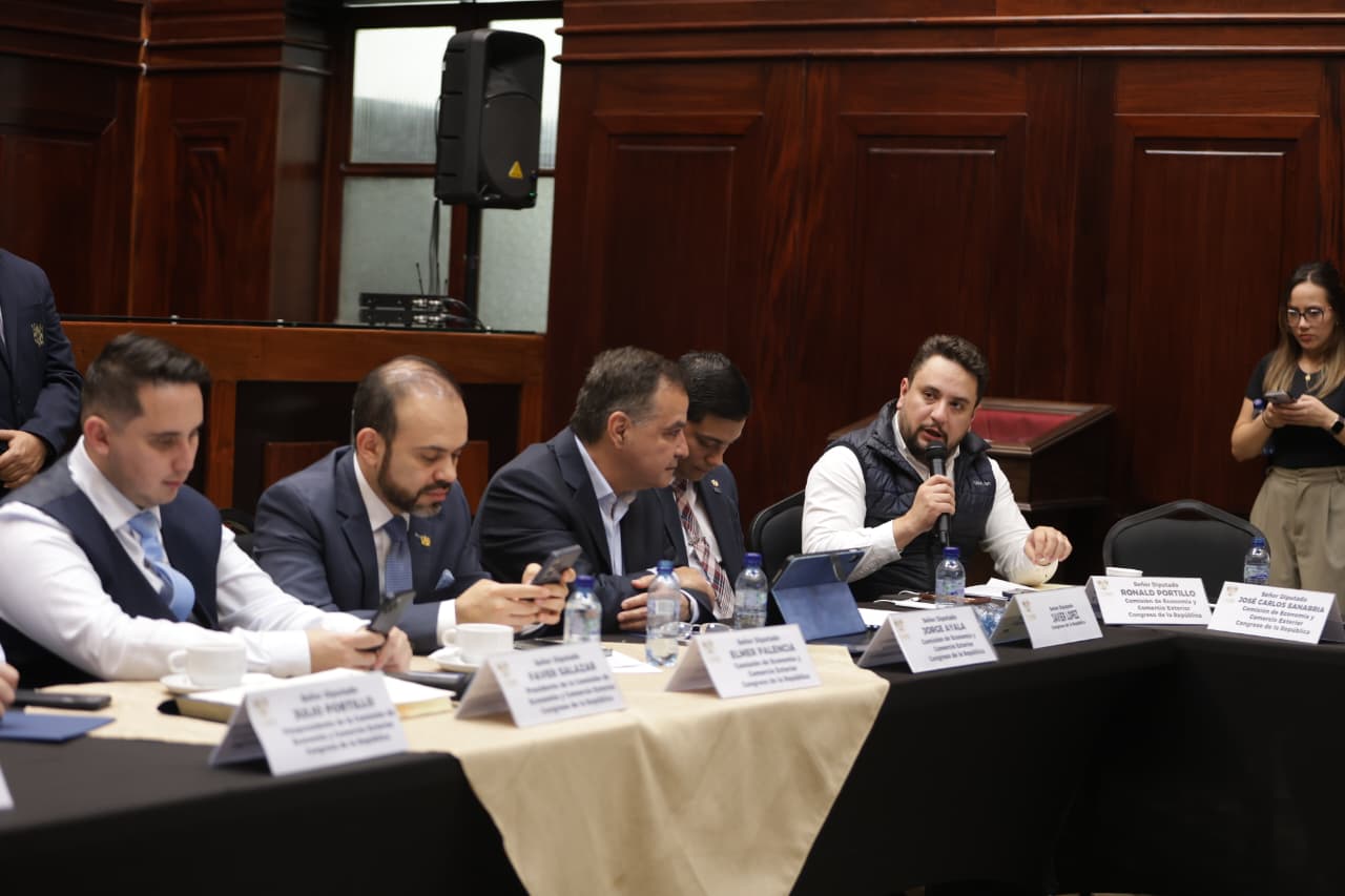 Los diputados que integran la Comisión de Economía decidieron aplazar la emisión del dictamen de la iniciativa 6593, “Ley Integral contra el Lavado de Dinero u Otros Activos y el Financiamiento del Terrorismo”, pese a que esta presenta tiempos cruciales para su aprobación. (Foto Prensa Libre: Cortesía Congreso de la República)