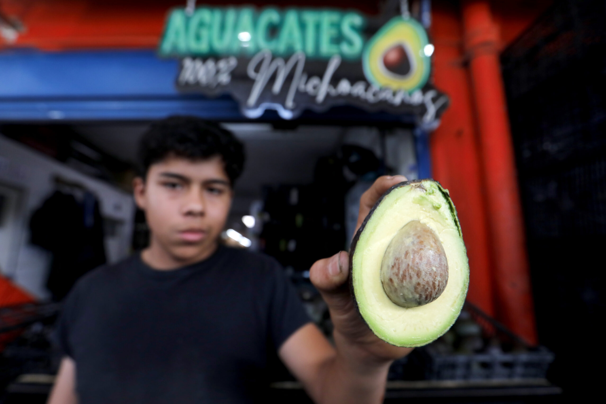 MEX3821. GUADALAJARA (MÉXICO), 06/02/2026.- Un comerciante muestra un aguacate este jueves, en el mercado de abastos en la ciudad de Guadalajara en Jalisco (México). Productores de aguacate en México destacaron este viernes las exportaciones récord a Estados Unidos con un incremento del 11 % los envíos para el partido de fútbol americano del Super Bowl, el mayor acontecimiento deportivo en EE.UU., y que se ha convertido en sinónimo de la salsa de guacamole, aunque advirtieron de la creciente competencia con otros países suramericanos. EFE/ Francisco Guasco